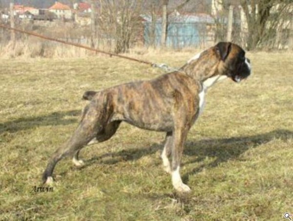 Ebie - 2 roky